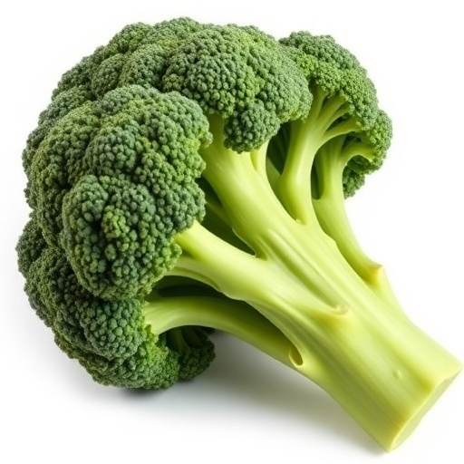 Fresh Broccoli